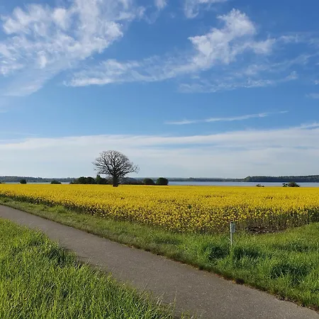 Daire Toplage Direkt An Der Steilkueste - 2 