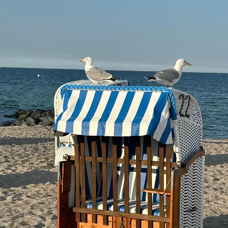 Toplage Direkt An Der Steilkueste - 2 